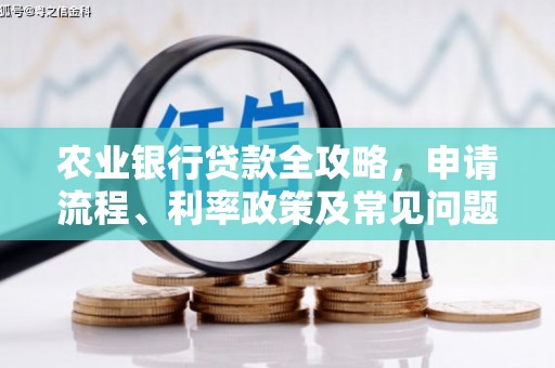 台州农业银行贷款全攻略，申请流程、利率政策及常见问题解析