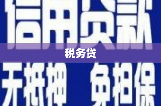 台州税务贷