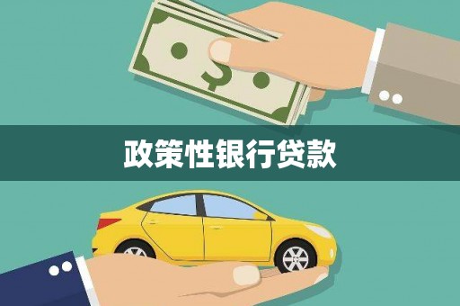 台州政策性银行贷款