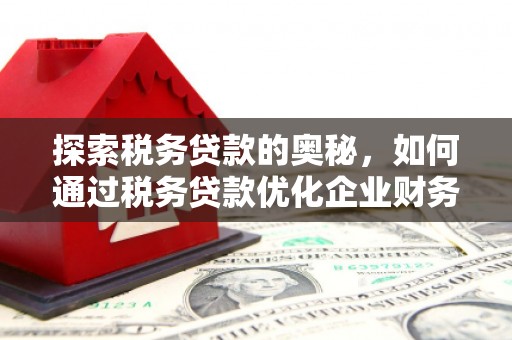 台州探索税务贷款的奥秘，如何通过税务贷款优化企业财务