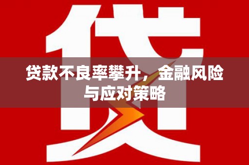 台州贷款不良率攀升，金融风险与应对策略