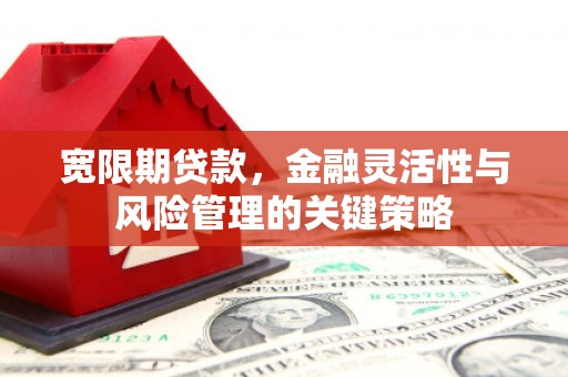 台州宽限期贷款，金融灵活性与风险管理的关键策略