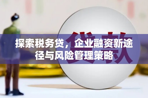 台州探索税务贷，企业融资新途径与风险管理策略