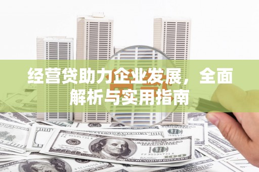 台州经营贷助力企业发展，全面解析与实用指南