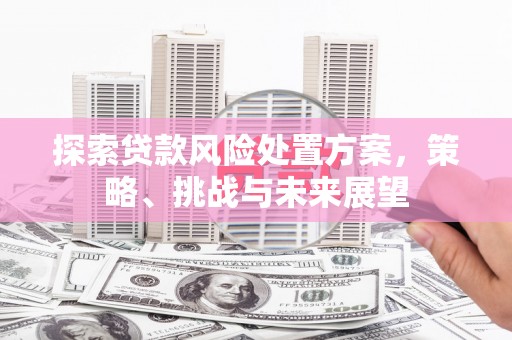 台州探索贷款风险处置方案，策略、挑战与未来展望