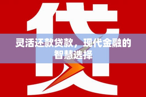 台州灵活还款贷款，现代金融的智慧选择