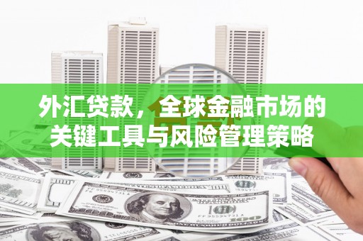 台州外汇贷款，全球金融市场的关键工具与风险管理策略