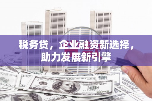 台州税务贷，企业融资新选择，助力发展新引擎