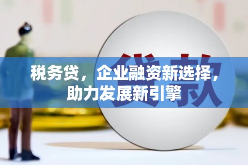 台州税务贷，企业融资新选择，助力发展新引擎