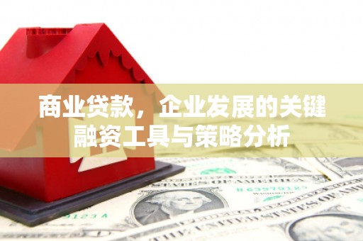 台州商业贷款，企业发展的关键融资工具与策略分析