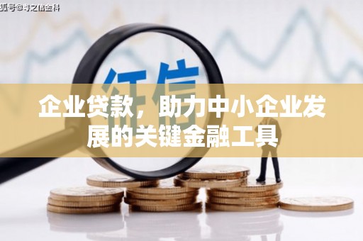 台州企业贷款，助力中小企业发展的关键金融工具