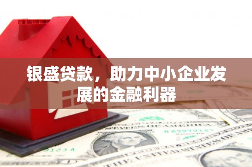 台州银盛贷款，助力中小企业发展的金融利器