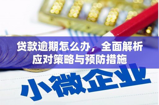 台州贷款逾期怎么办，全面解析应对策略与预防措施