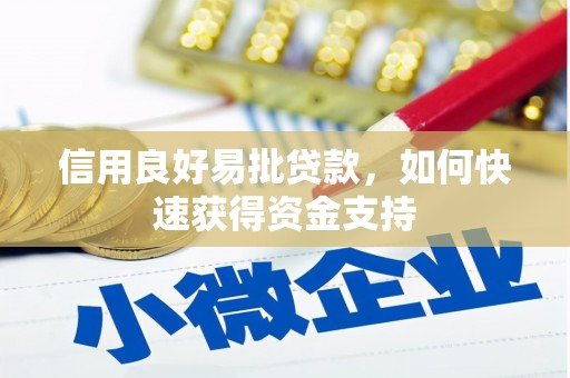 台州信用良好易批贷款，如何快速获得资金支持