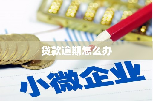 台州贷款逾期怎么办
