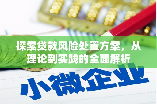 台州探索贷款风险处置方案，从理论到实践的全面解析