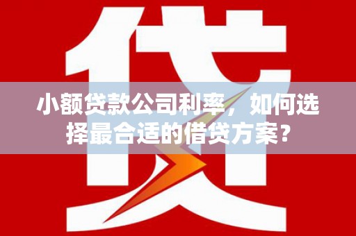 台州小额贷款公司利率，如何选择最合适的借贷方案？