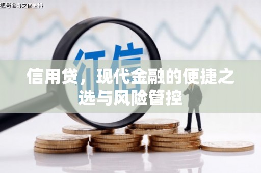 台州信用贷，现代金融的便捷之选与风险管控