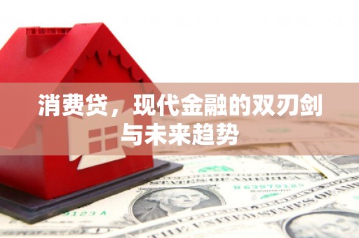 台州消费贷，现代金融的双刃剑与未来趋势