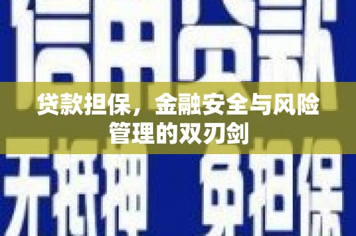 台州贷款担保，金融安全与风险管理的双刃剑
