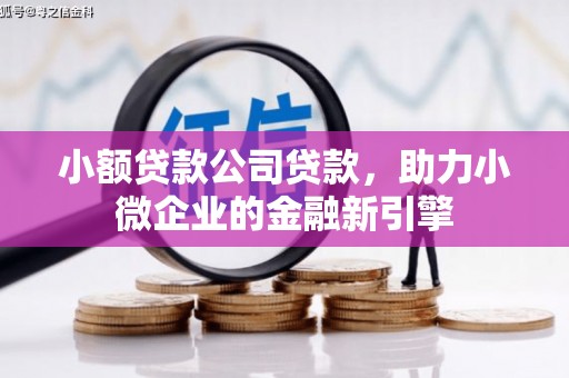 台州小额贷款公司贷款，助力小微企业的金融新引擎