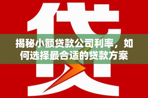 台州揭秘小额贷款公司利率，如何选择最合适的贷款方案
