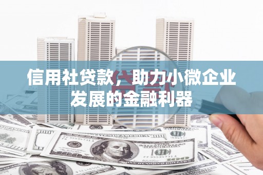 台州信用社贷款，助力小微企业发展的金融利器