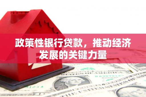 台州政策性银行贷款，推动经济发展的关键力量