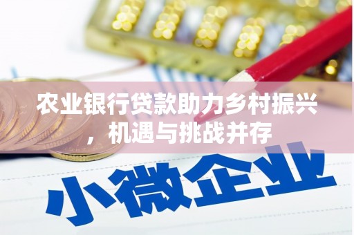台州农业银行贷款助力乡村振兴，机遇与挑战并存