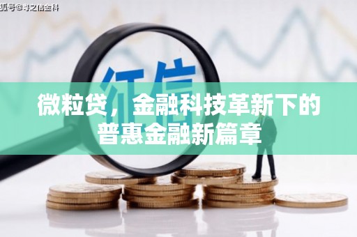 台州微粒贷，金融科技革新下的普惠金融新篇章