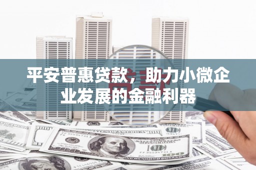 台州平安普惠贷款，助力小微企业发展的金融利器
