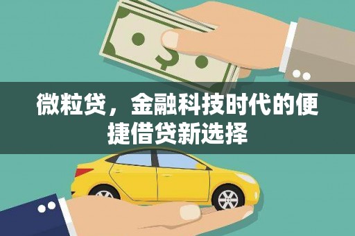 台州微粒贷，金融科技时代的便捷借贷新选择