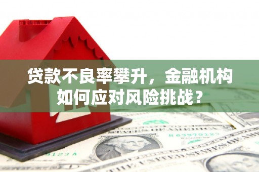 台州贷款不良率攀升，金融机构如何应对风险挑战？