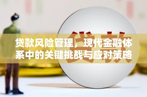 台州贷款风险管理，现代金融体系中的关键挑战与应对策略