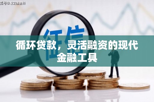台州循环贷款，灵活融资的现代金融工具
