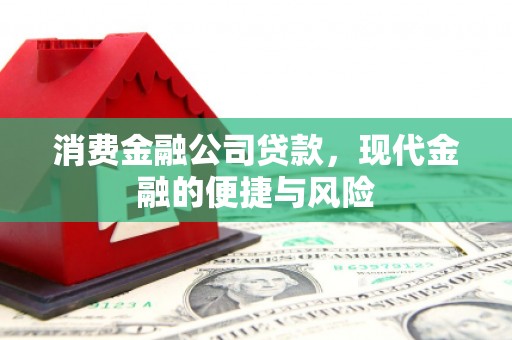 台州消费金融公司贷款，现代金融的便捷与风险
