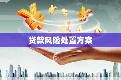 台州贷款风险处置方案